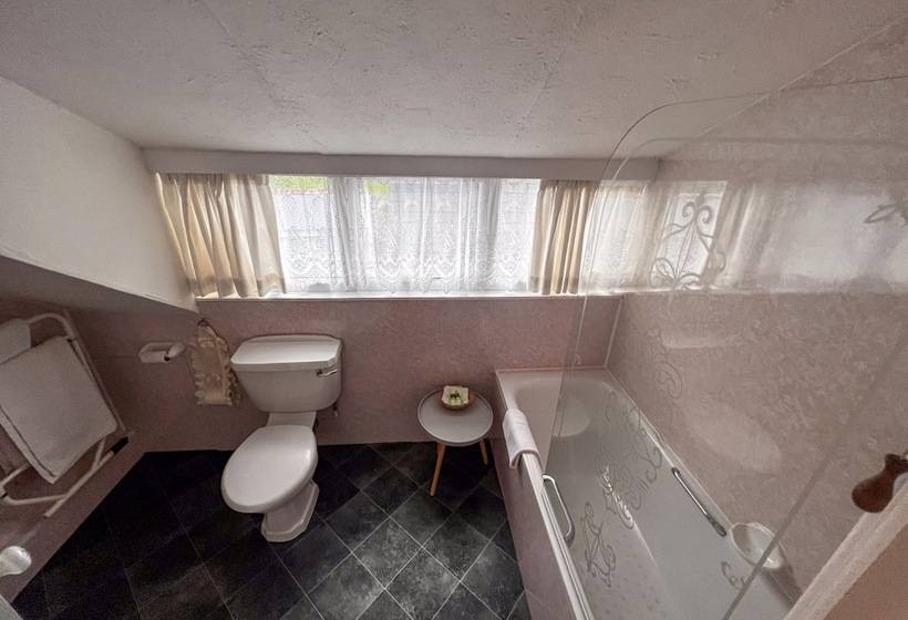 酒店 Gwesty Minffordd