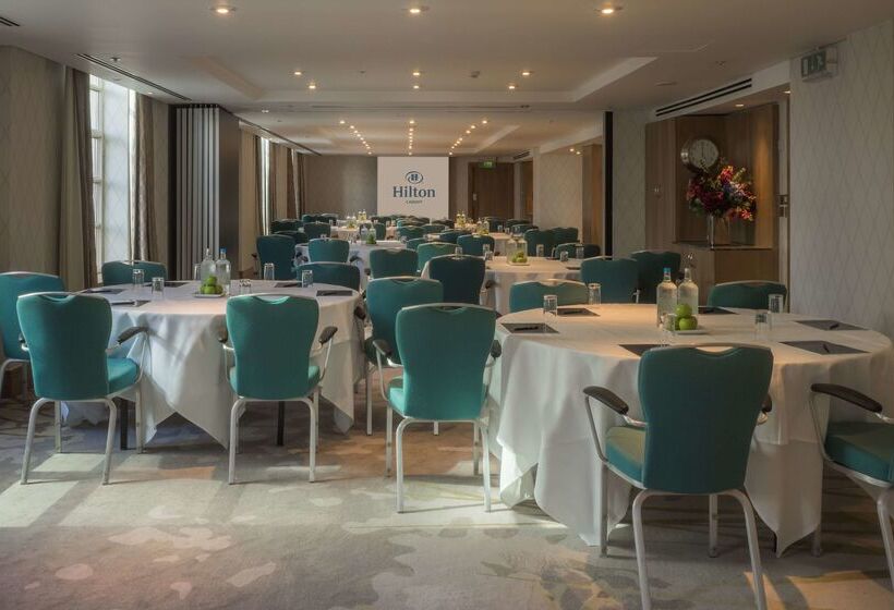 Fotos del hotel Hilton Cardiff:  103 Fotos del hotel Hilton Cardiff:  103