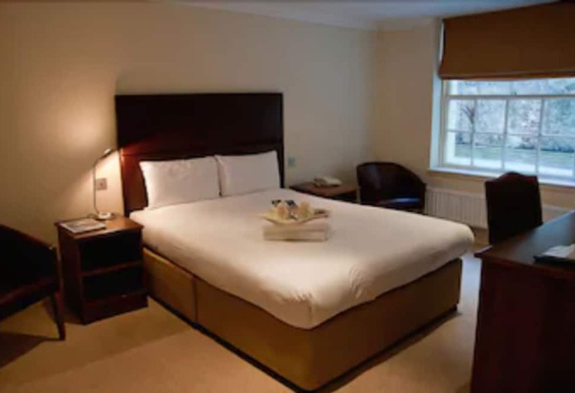 Fotos del hotel Kings:  3