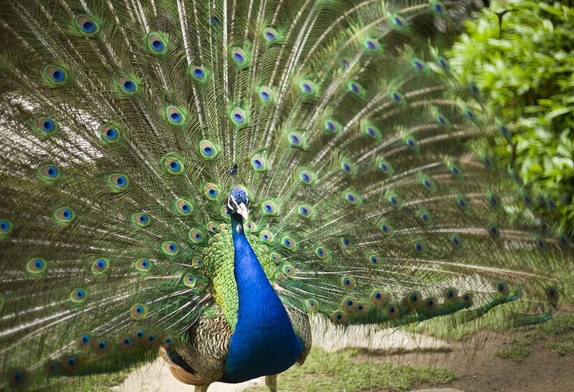 فندق Marinela Sofia