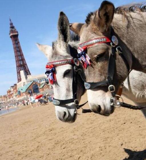 Fotos del hotel The Savoy:  10