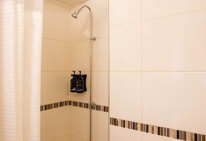 Fotos del hotel Tavistock:  29