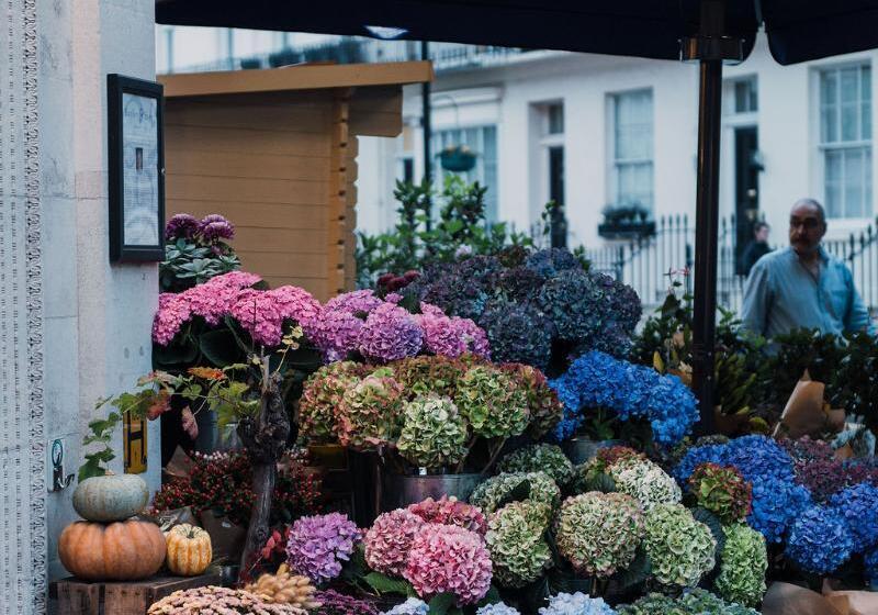 Fotos del hotel Tophams:  4