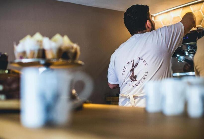 فندق The Wild Hare