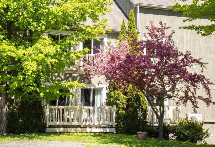 هتل Auberge La Camarine