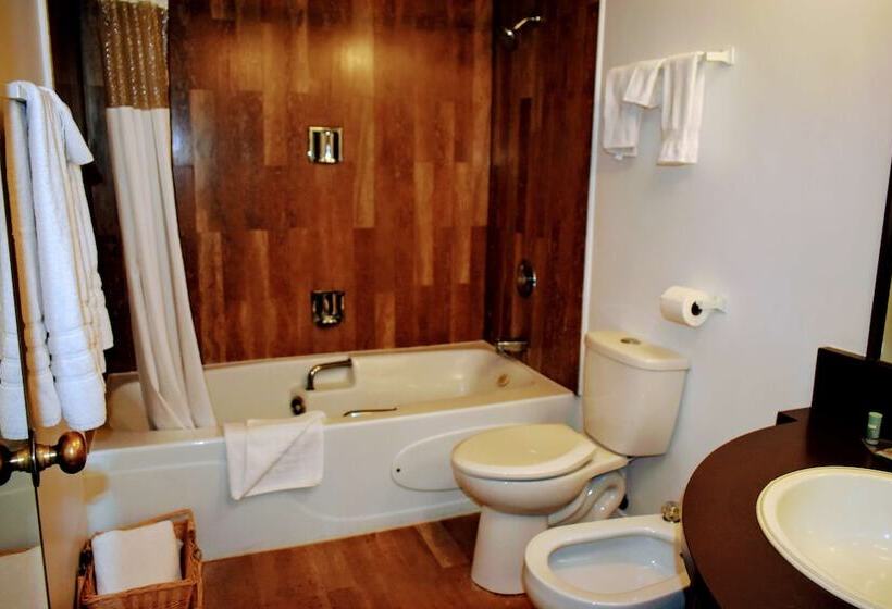 هتل Best Western Downtown Sudbury