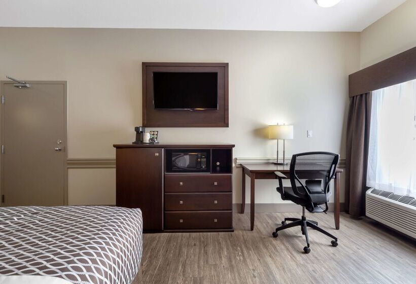 호텔 Best Western High Road Inn