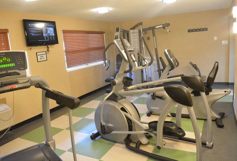 בית מלון כפרי Best Western Terrace Inn