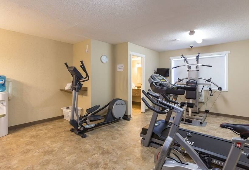 בית מלון כפרי Carmel Inn