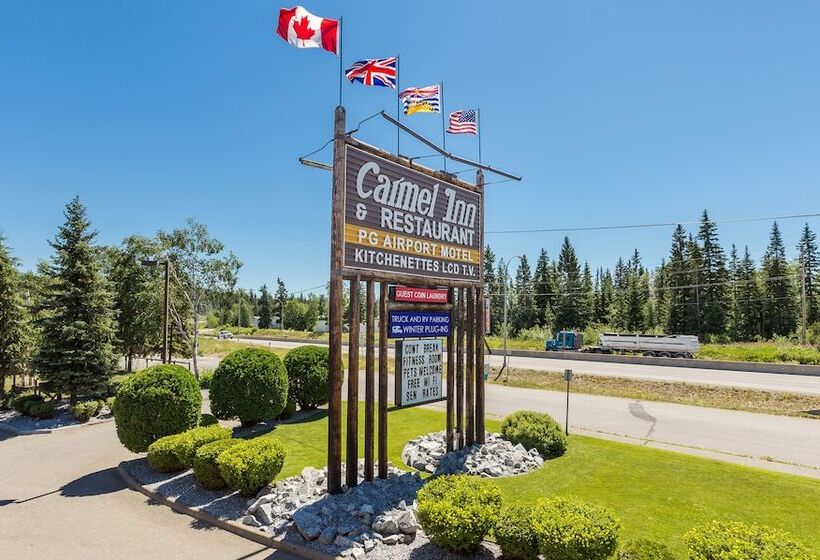 בית מלון כפרי Carmel Inn