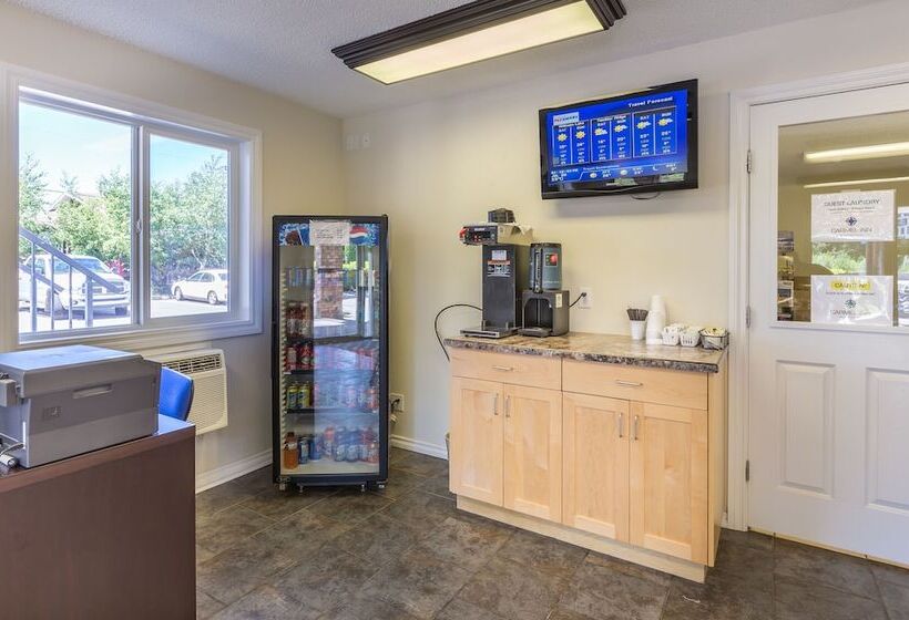 בית מלון כפרי Carmel Inn