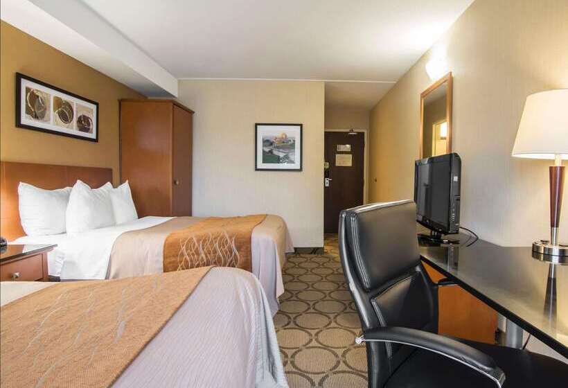 Отель Comfort Inn Airport East