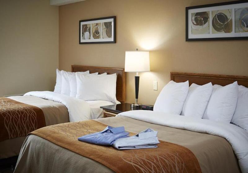 هتل Comfort Inn Airport East