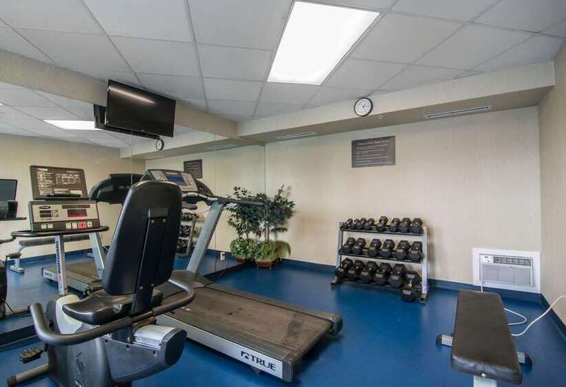 هتل Comfort Inn & Suites Airport South