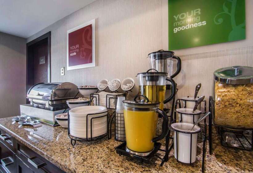 هتل Comfort Inn & Suites Airport South