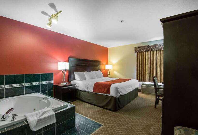 هتل Comfort Inn & Suites Airport South