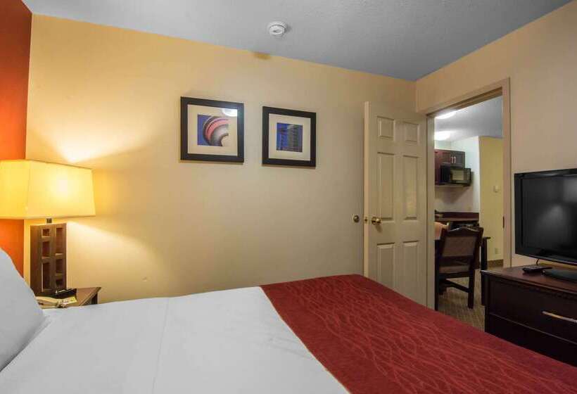 هتل Comfort Inn & Suites Airport South