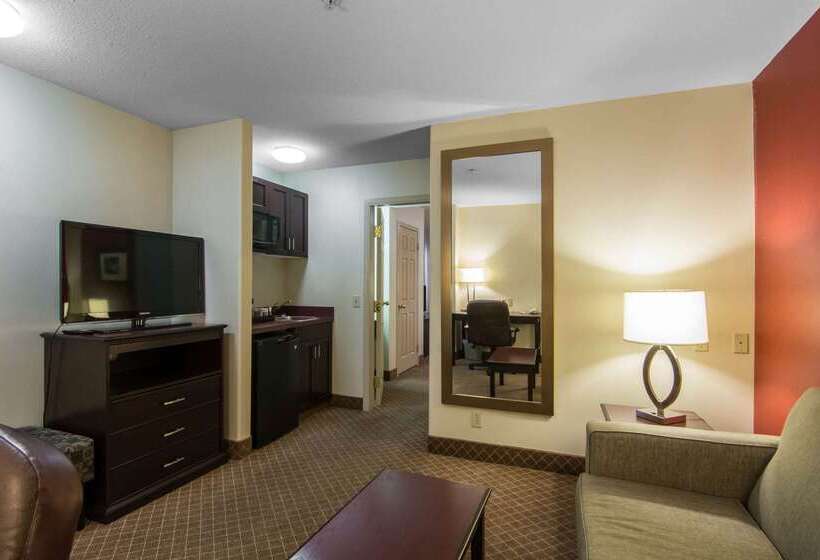 Hotel Comfort Inn And Suites Airport South