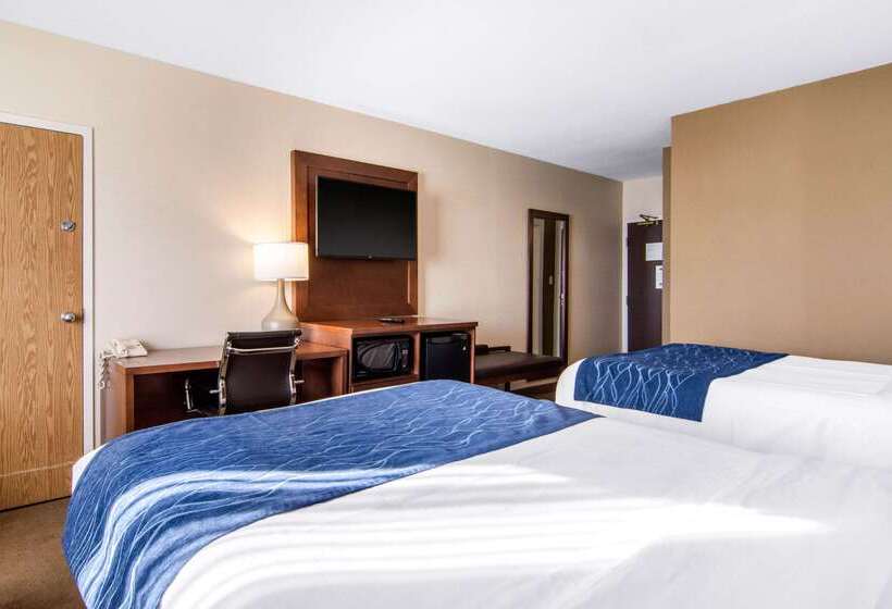 Отель Comfort Inn & Suites