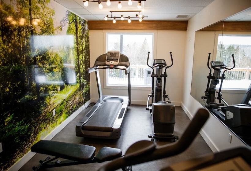 فندق Comfort Inn And Suites Mont Tremblant