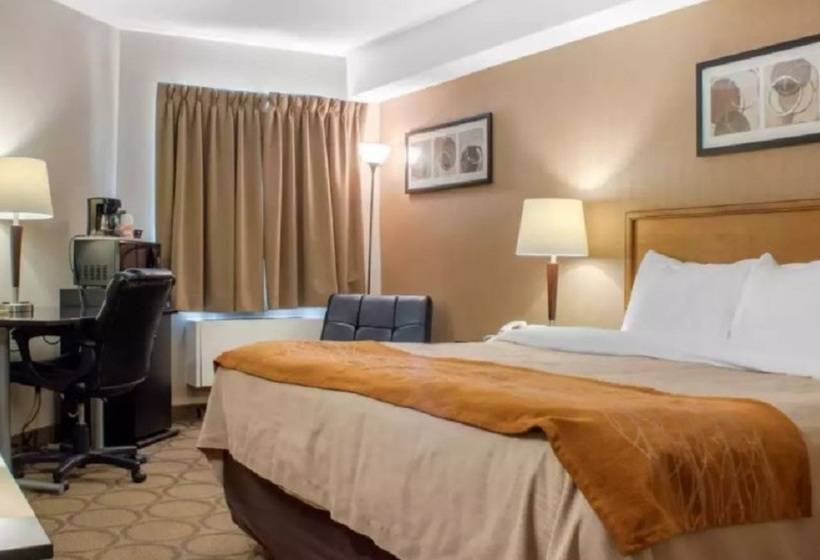 هتل Comfort Inn