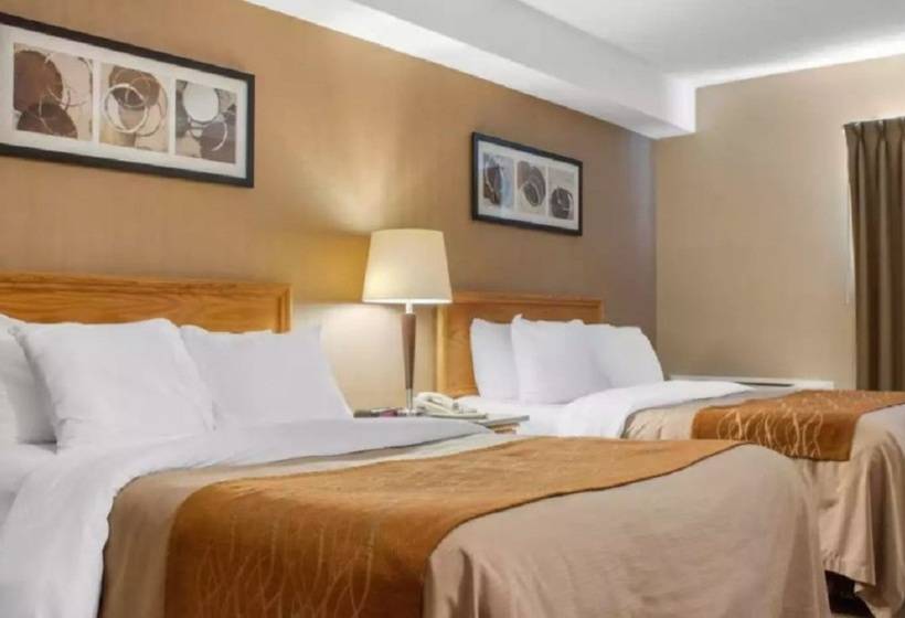 هتل Comfort Inn