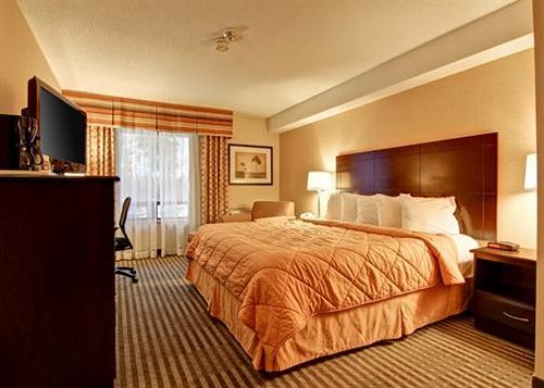 호텔 Comfort Inn East Scarborough