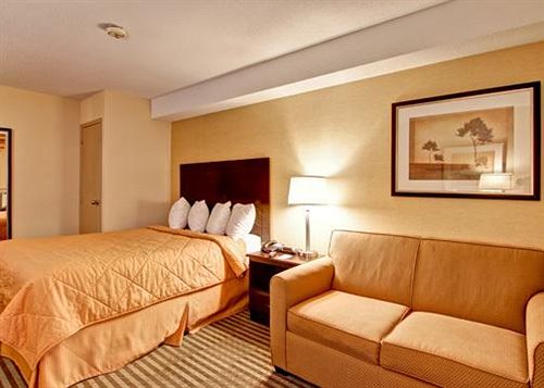 فندق Comfort Inn East Scarborough