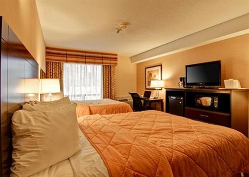 فندق Comfort Inn East Scarborough