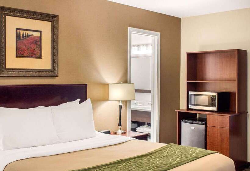 Hotel Comfort Inn  Halifax