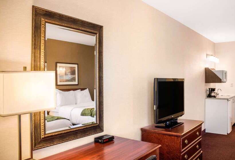 هتل Comfort Inn