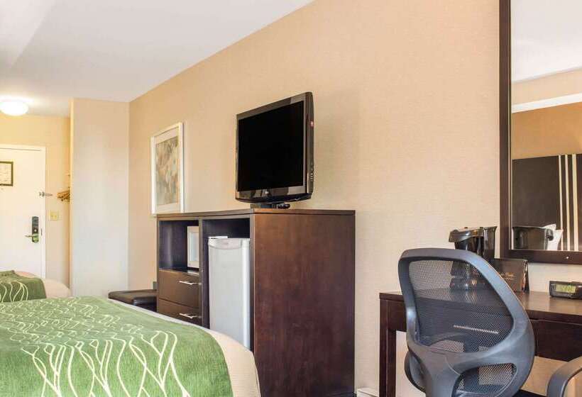 هتل Comfort Inn  Halifax