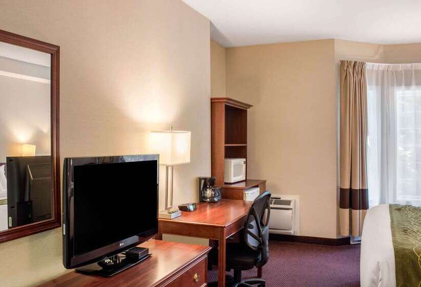 Hotel Comfort Inn  Halifax