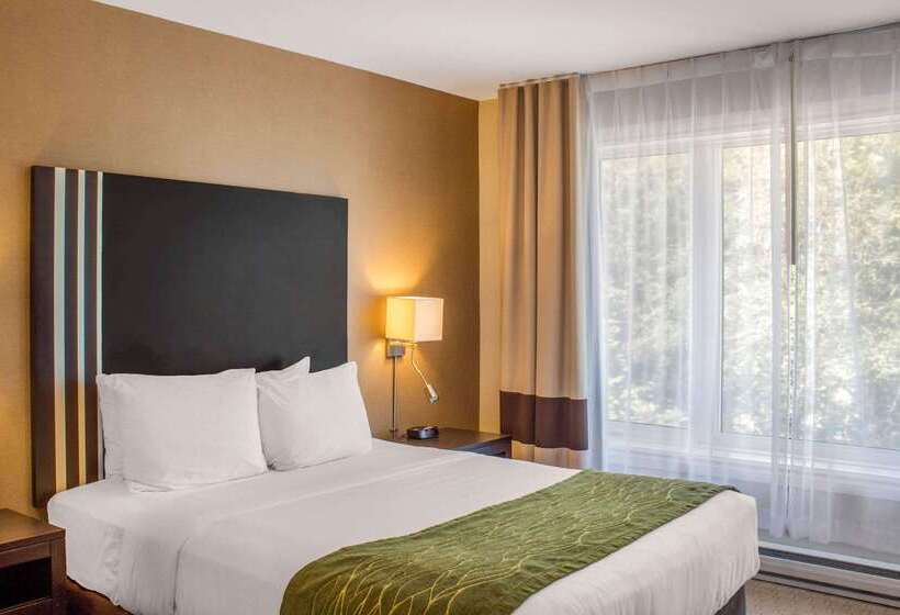 هتل Comfort Inn