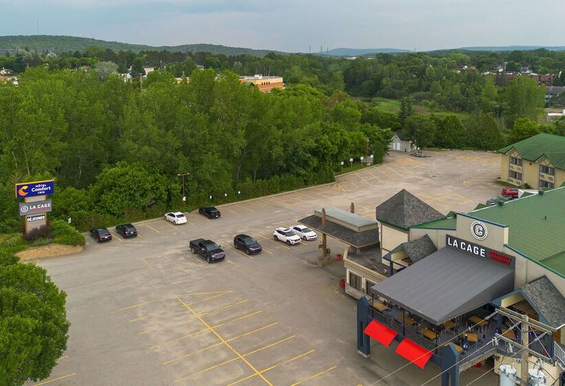هتل Comfort Inn  Mont Laurier
