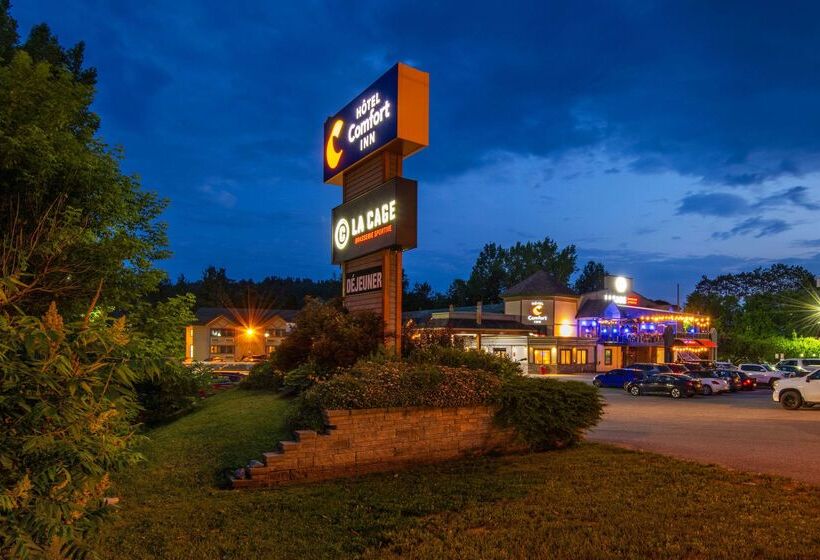 هتل Comfort Inn  Mont Laurier