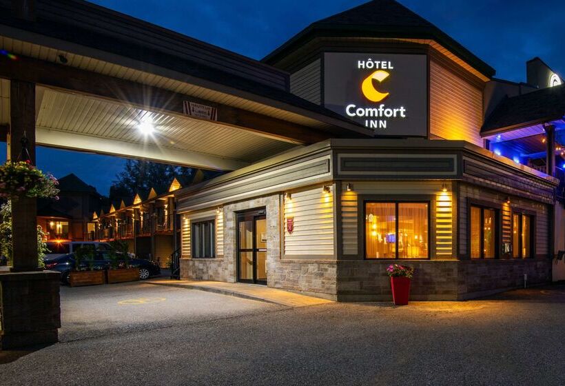 هتل Comfort Inn  Mont Laurier