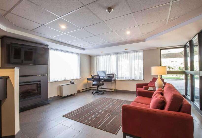 酒店 Comfort Inn