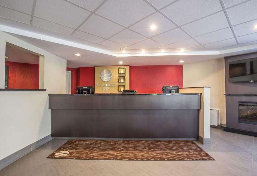 호텔 Comfort Inn