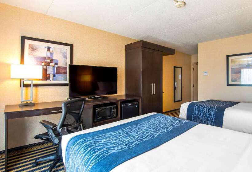 酒店 Comfort Inn