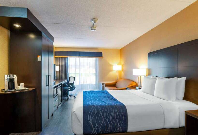酒店 Comfort Inn