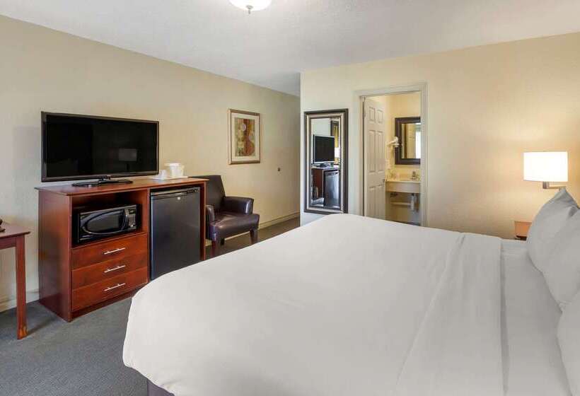Отель Comfort Inn & Suites Thousand Islands Harbour District