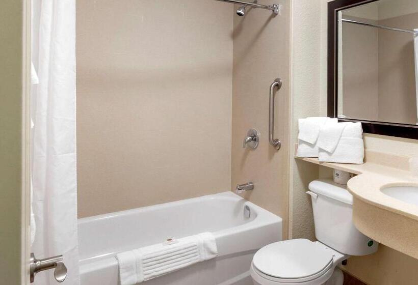 Отель Comfort Inn & Suites Thousand Islands Harbour District