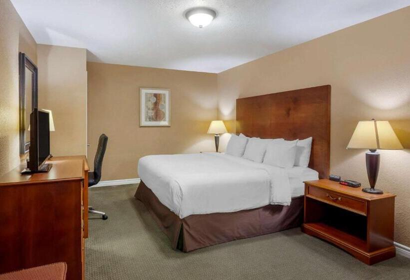 Отель Comfort Inn & Suites Thousand Islands Harbour District