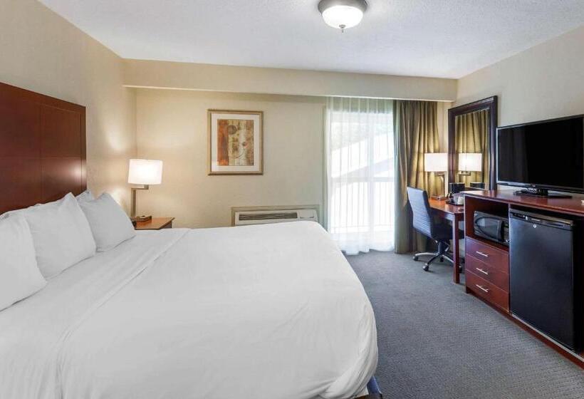 Отель Comfort Inn & Suites Thousand Islands Harbour District