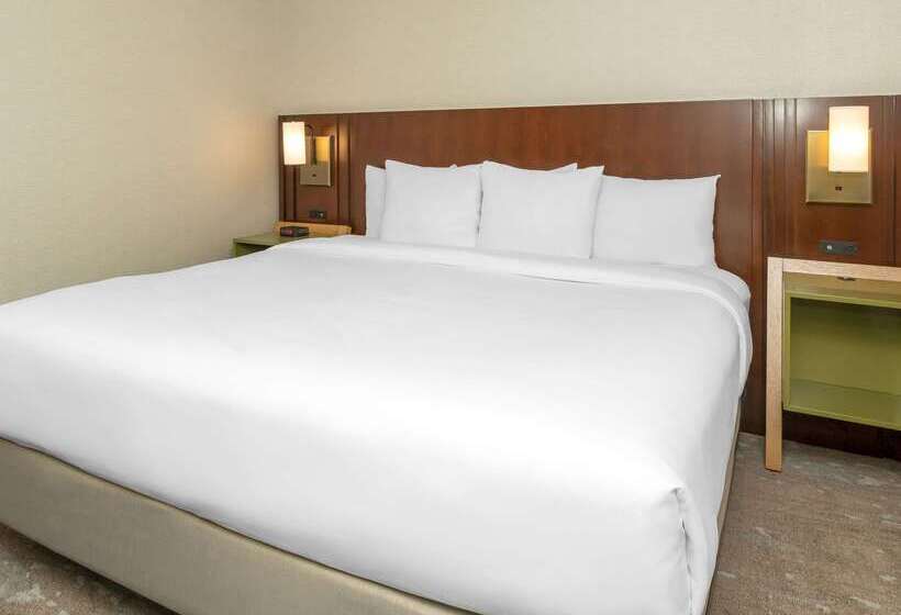 호텔 Comfort Inn West