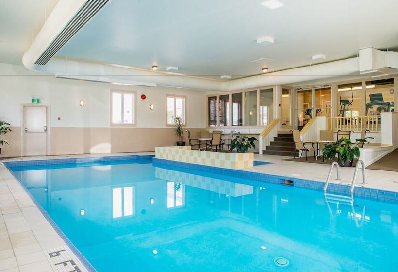 酒店 Maritime Inn Port Hawkesbury