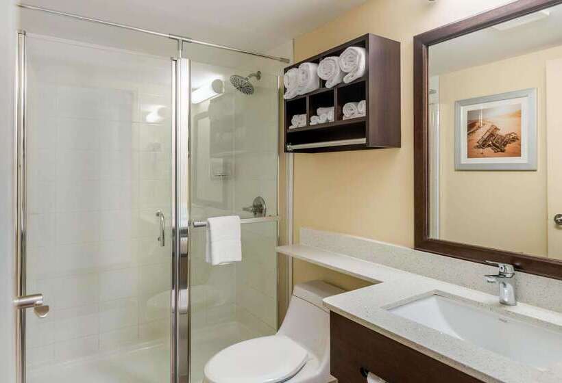 فندق Quality Inn & Suites