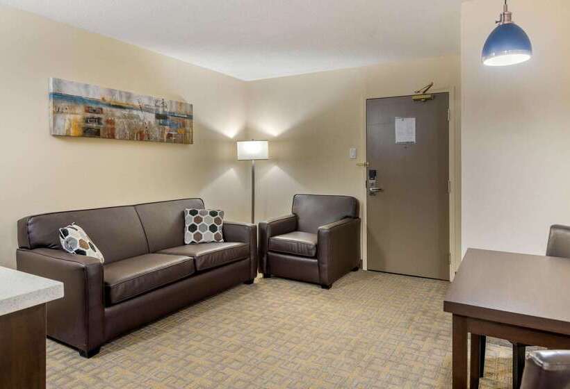 Hotel Quality Inn & Suites