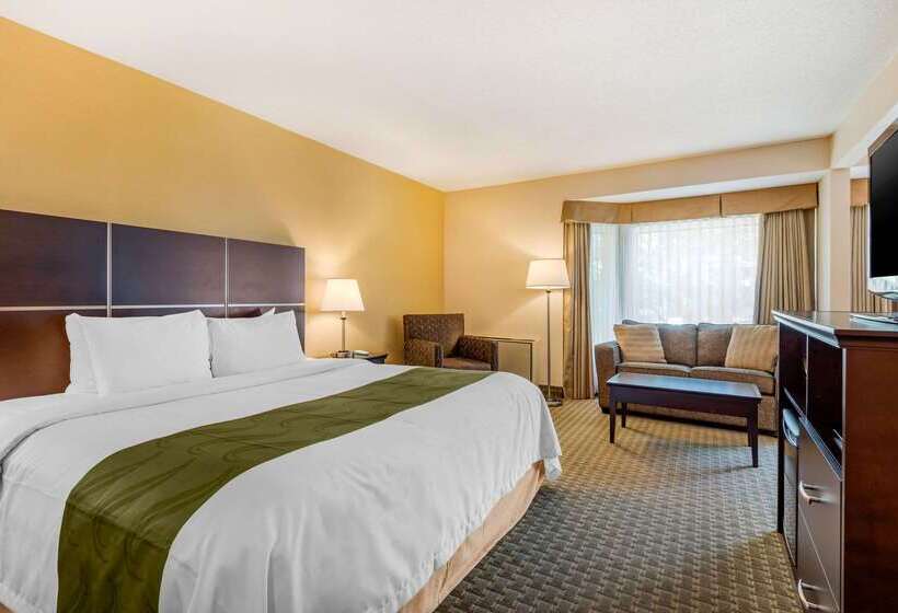 Hotel Quality Inn & Suites Brampton